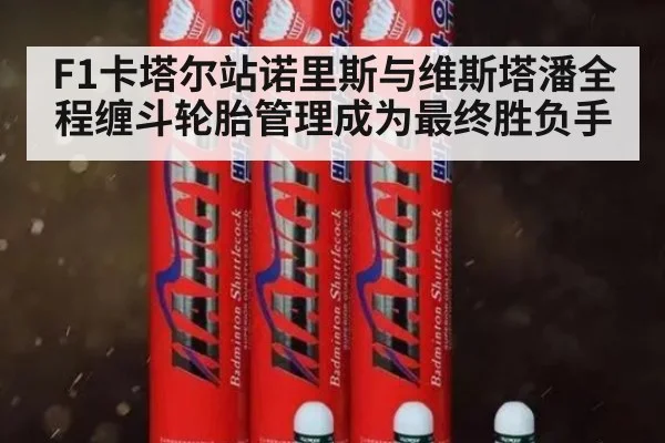 F1卡塔尔站诺里斯与维斯塔潘全程缠斗轮胎管理成为最终胜负手